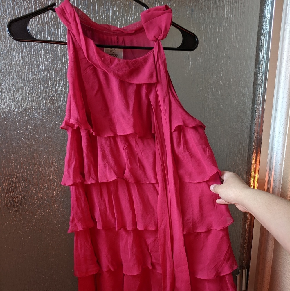 Suzi Chin Dress